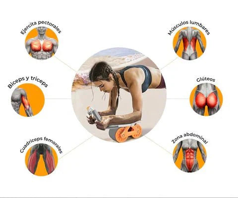 AbdoPRO - Rodillo Abdominal Fitness + E - book Gratuito 🔥 - Bora De Compras